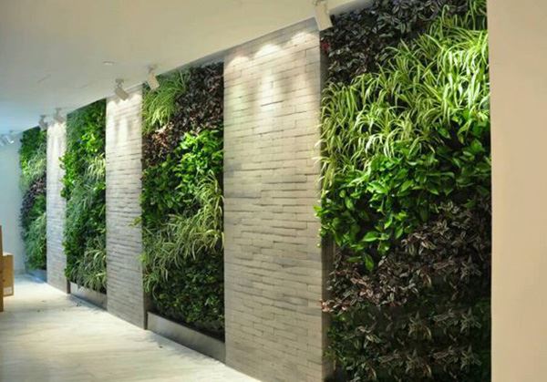 ¿Dónde están las ventajas de la pared de la planta de simulación?