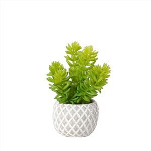Planta suculenta de loto de jade artificial