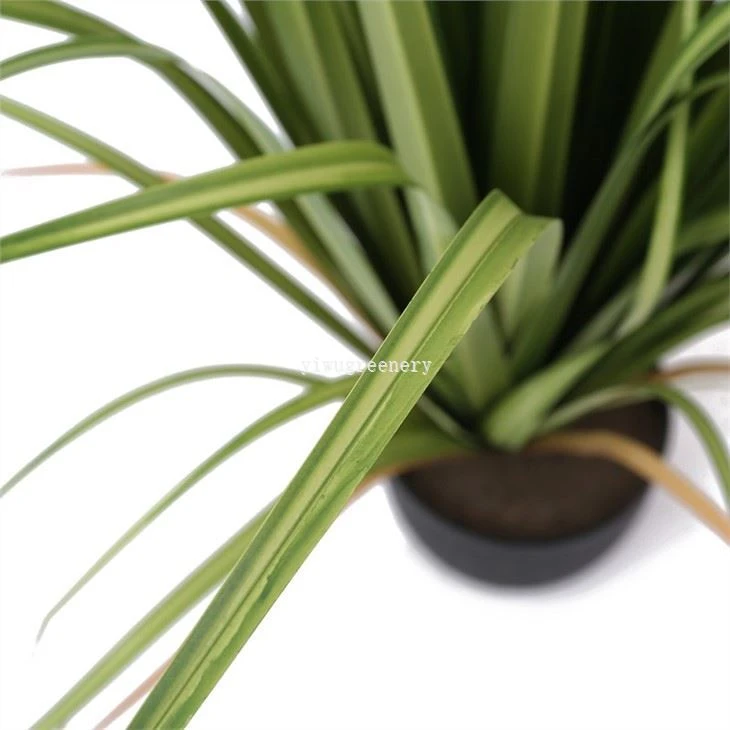 fake onion grass